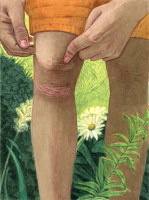 https://www.panosbalomenos.com/i/files/gimgs/th-35_10_v2.jpg