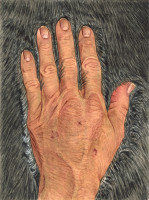 https://www.panosbalomenos.com/i/files/gimgs/th-35_16.jpg